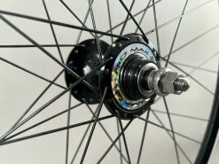 Velocity Dyad Black Suzue Promax Hubs Track Bike Wheelset 36h -Cycling Gear Shop 9NkNkEAgiGindk5cR hPHSIn4