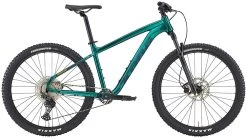 Kona Cinder Cone 2022