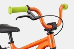 Cannondale Kids Trail 16 2023 -Cycling Gear Shop tqAILEvr7wVCIdKua9F 3BHTg